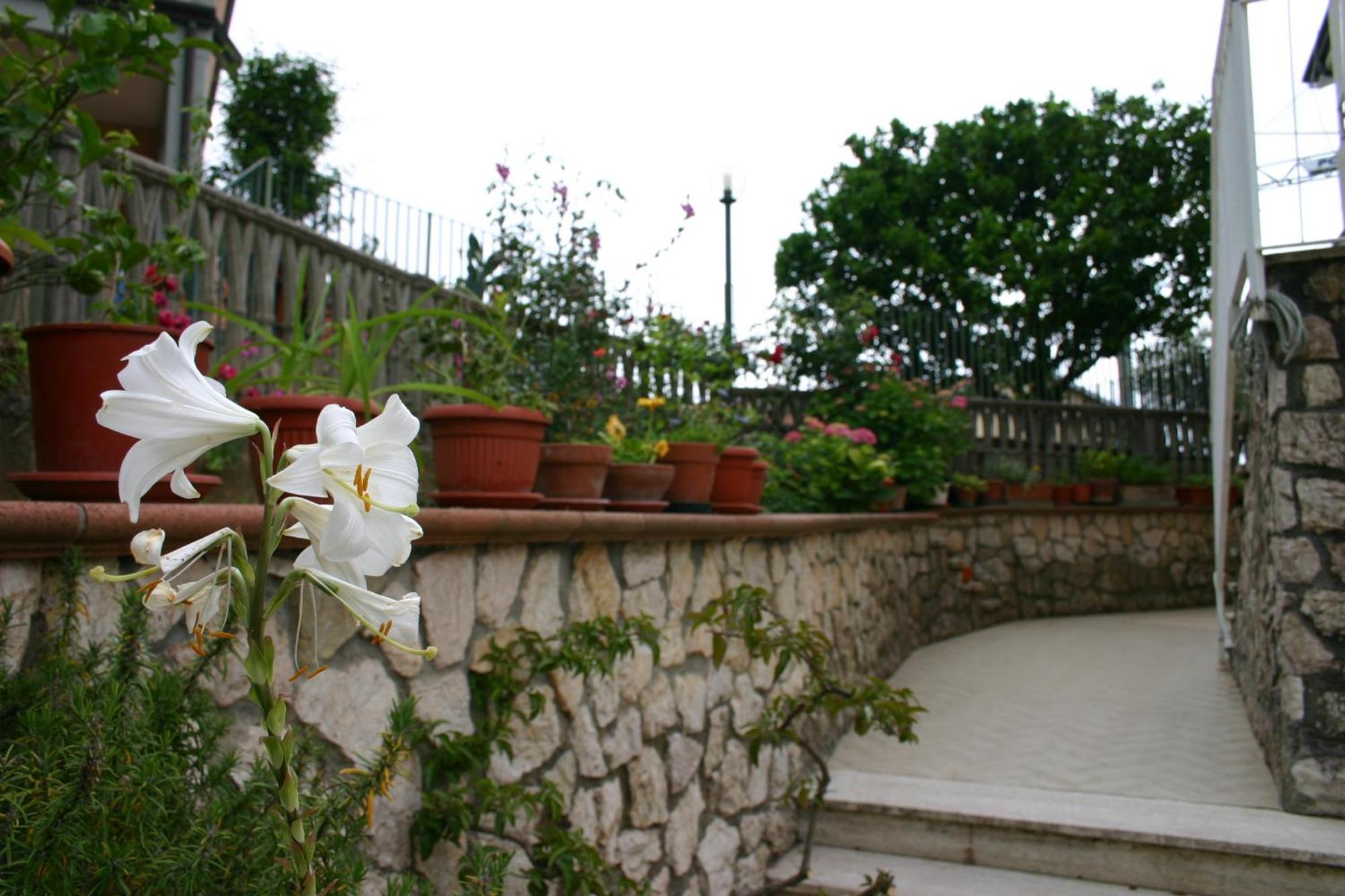 B&B La Baia Di Fiascherino Citr01101Sei-Beb-0011 Tellaro Exteriör bild
