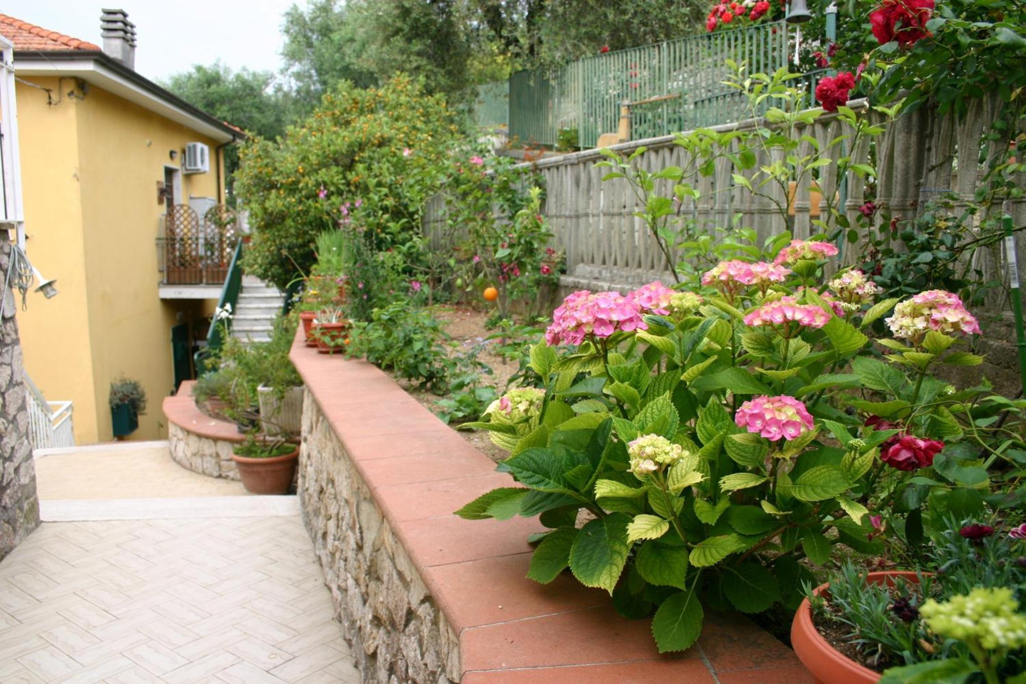 B&B La Baia Di Fiascherino Citr01101Sei-Beb-0011 Tellaro Exteriör bild